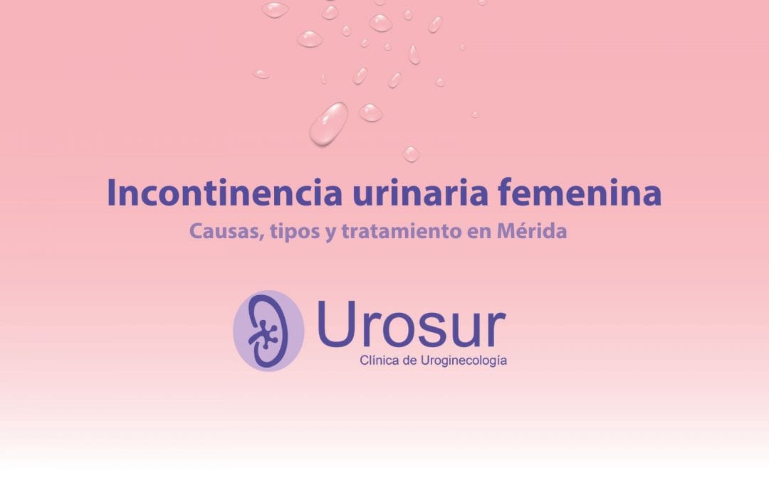 Incontinencia urinaria femenina: causas, tipos y tratamiento en Mérida